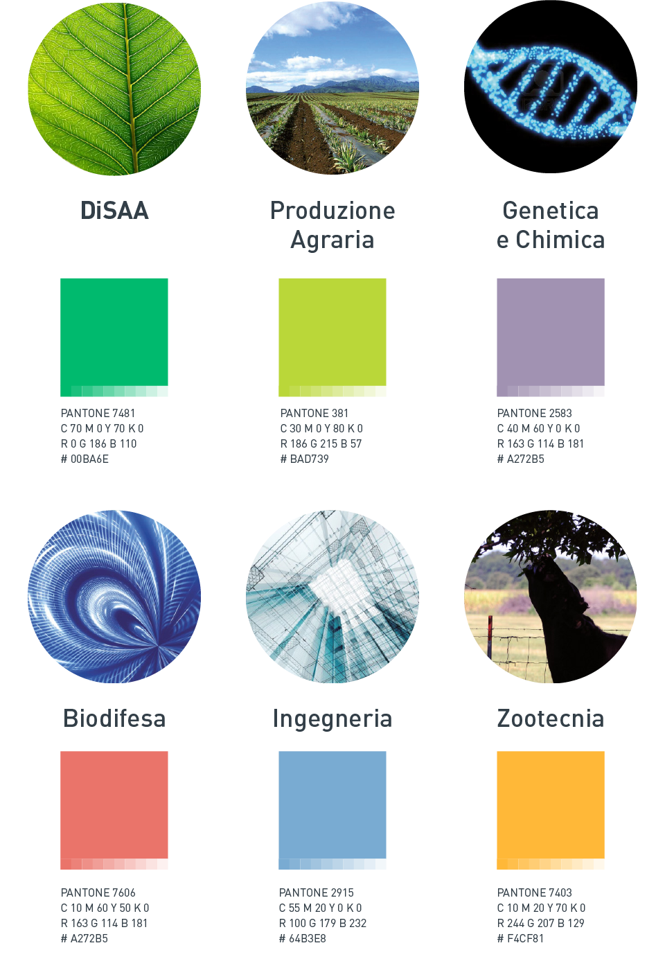 Studio per le declinazioni del logo che PaperPlane ha realizzato per il Dipartimento di Scienze Agrarie e Ambientali (DiSAA).