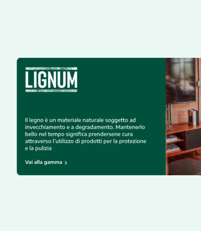 Screenshot di un dettagli del sito HDG.