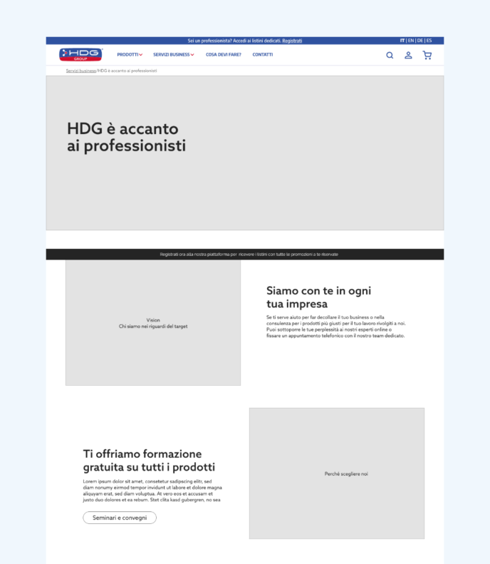 Wireframe di una langing page per HDG.
